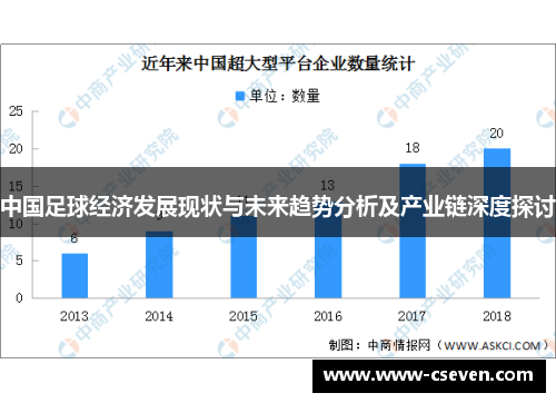 中国足球经济发展现状与未来趋势分析及产业链深度探讨