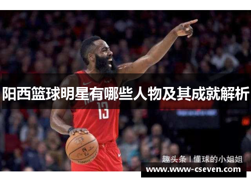 阳西篮球明星有哪些人物及其成就解析